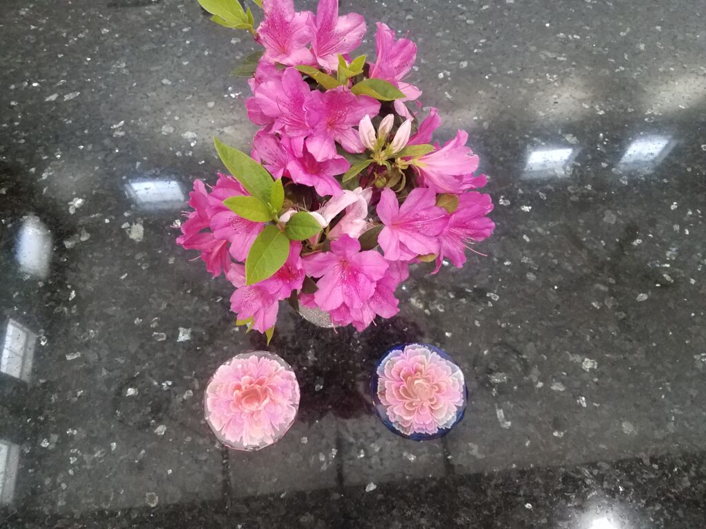 2_pink_flower_coasters_d