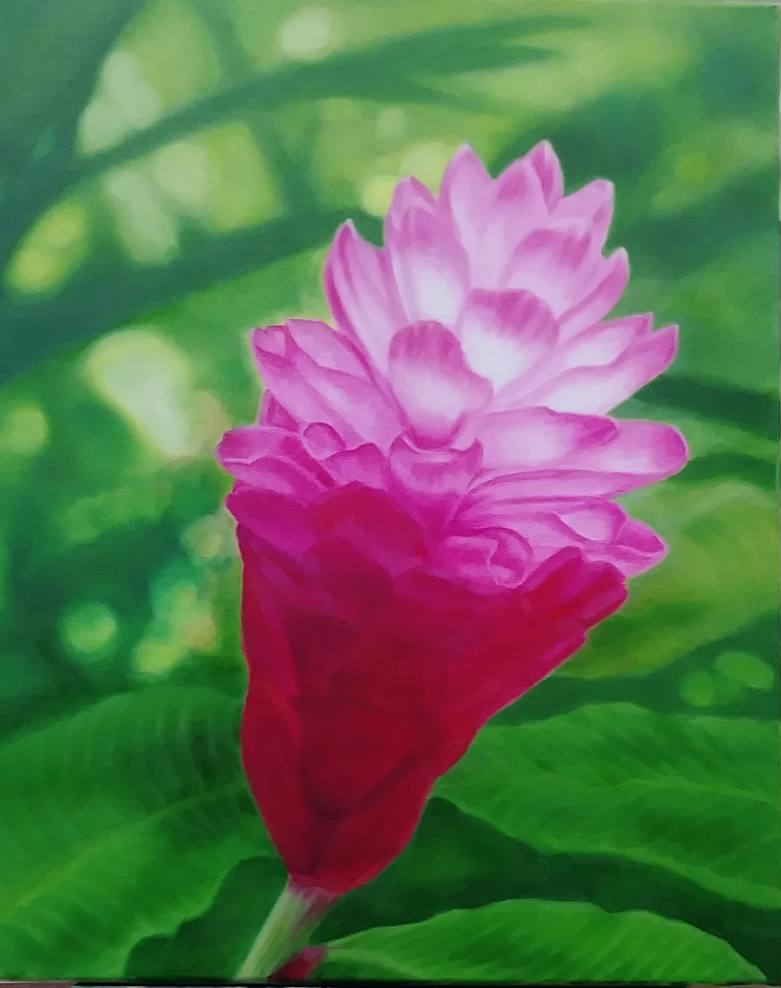 Sweet Pink Torch Ginger