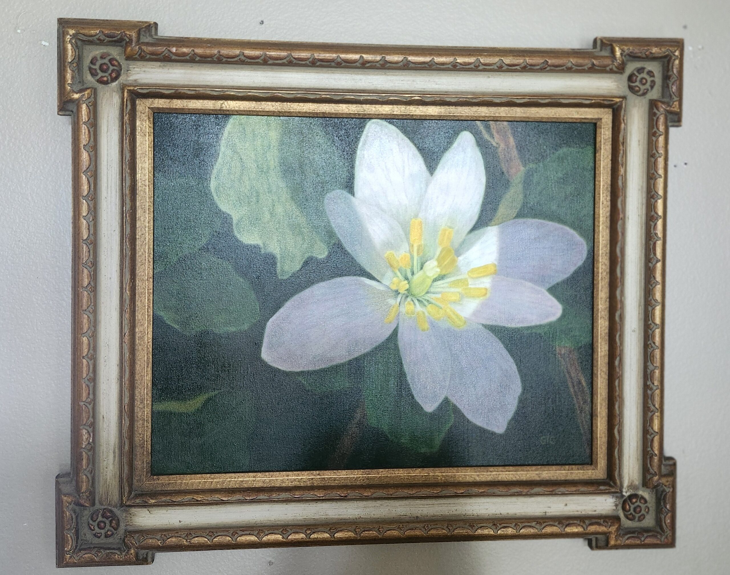 Framed Flower