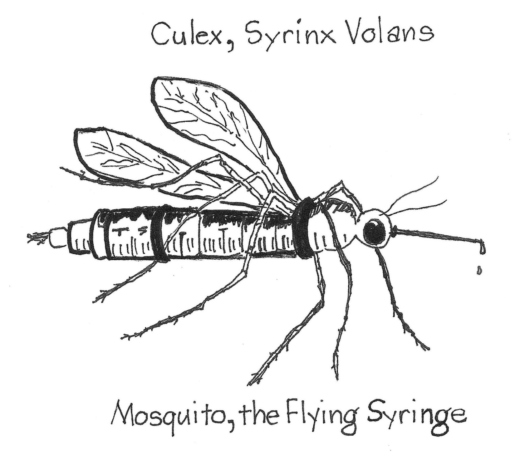 flying needle