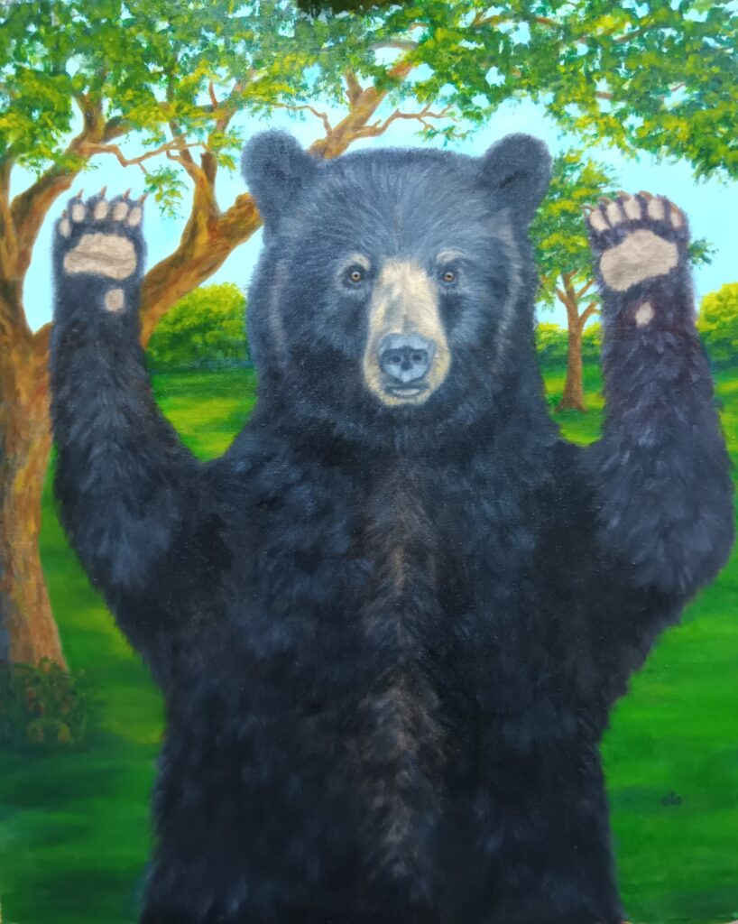 Bear without window cropped