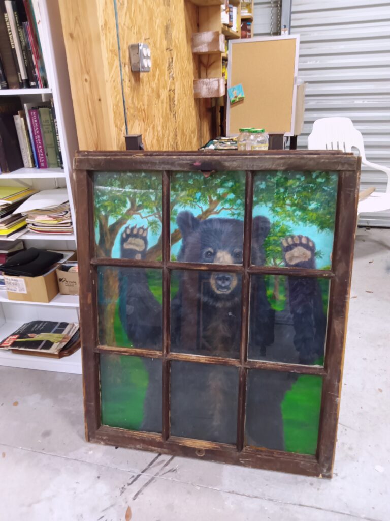 bear in window